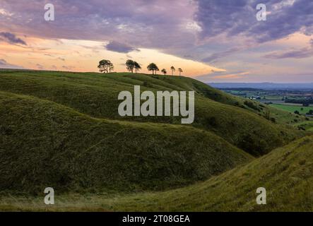 Blick auf den Roundway hinunter Hügel und Steilhang am Rande des nördlichen Wessex Downs Devizes Wiltshire im Südwesten Englands Großbritannien Stockfoto