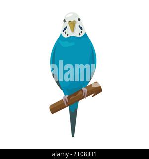 Netter flacher Vektor-Papagei isoliert auf weißem Hintergrund. Blauer kleiner Wellensittich, der auf einem Ast sitzt. Sprechender Budgie. Hausvogel Stock Vektor