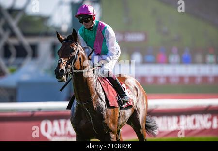 Newmarket, Suffolk, Vereinigtes Königreich, 5. Oktober 2023; Juddmonte Farms hat heute bekannt gegeben, dass Qatar Prix de l'Arc de Triomphe 2022 6. Und 2023 2. WESTOVER, nach einer Karriere-beendenden Verletzung bei der Erneuerung von 2023 letzten Sonntag in den Ruhestand gegangen ist. Der Sohn von Frankel war auch Zweiter bei den King George VI. Und Queen Elizabeth QIPCO Stakes 2023 im Juli 2023. Credit JTW equine Images / Alamy Live News. Stockfoto