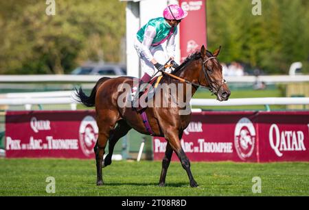 Newmarket, Suffolk, Vereinigtes Königreich, 5. Oktober 2023; Juddmonte Farms hat heute bekannt gegeben, dass Qatar Prix de l'Arc de Triomphe 2022 6. Und 2023 2. WESTOVER, nach einer Karriere-beendenden Verletzung bei der Erneuerung von 2023 letzten Sonntag in den Ruhestand gegangen ist. Der Sohn von Frankel war auch Zweiter bei den King George VI. Und Queen Elizabeth QIPCO Stakes 2023 im Juli 2023. Credit JTW equine Images / Alamy Live News. Stockfoto