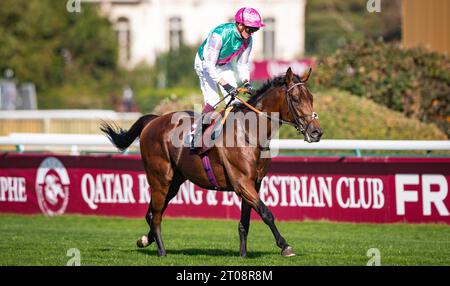 Newmarket, Suffolk, Vereinigtes Königreich, 5. Oktober 2023; Juddmonte Farms hat heute bekannt gegeben, dass Qatar Prix de l'Arc de Triomphe 2022 6. Und 2023 2. WESTOVER, nach einer Karriere-beendenden Verletzung bei der Erneuerung von 2023 letzten Sonntag in den Ruhestand gegangen ist. Der Sohn von Frankel war auch Zweiter bei den King George VI. Und Queen Elizabeth QIPCO Stakes 2023 im Juli 2023. Credit JTW equine Images / Alamy Live News. Stockfoto