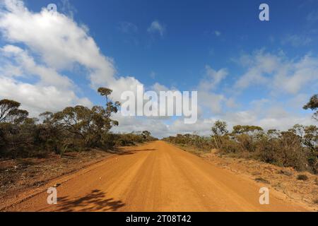 Langer, gerader roter Feldweg im Outback, Western Australia, Australien Stockfoto