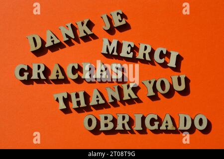 Vielen Dank, Wort in verschiedenen europäischen Sprachen, darunter Englisch, Französisch, Deutsch, Spanisch und Portugiesisch Stockfoto