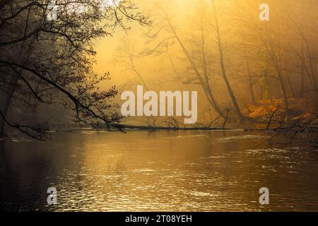 Frühling in Warmia und Mazury, Polen Stockfoto