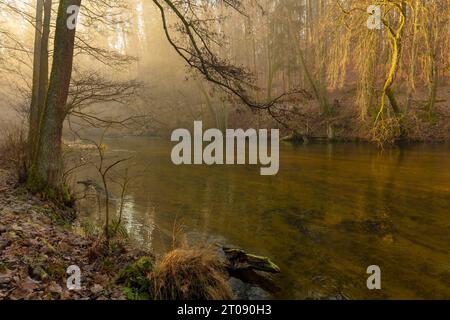 Frühling in Warmia und Mazury, Polen Stockfoto