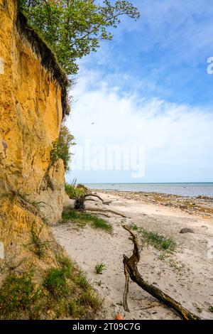 Blick auf die steile Küste am Gollwitzer Strand. Naturstrand bei Gollwitz im Naturschutzgebiet auf der Insel Poel. Landschaft an der Ostsee. Stockfoto