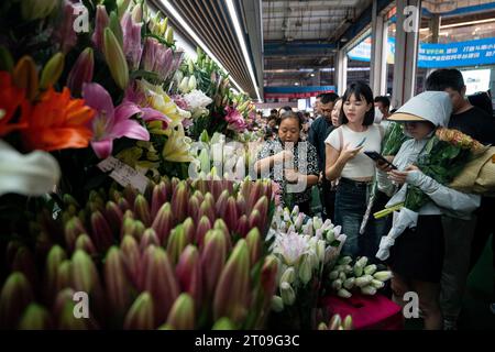 Kunming, chinesische Provinz Yunnan. Oktober 2023. Besucher besuchen den Dounan Blumenmarkt während des Herbstfestes und des Nationalfeiertags in Kunming, südwestchinesischer Provinz Yunnan, 5. Oktober 2023. Quelle: Chen Xinbo/Xinhua/Alamy Live News Stockfoto