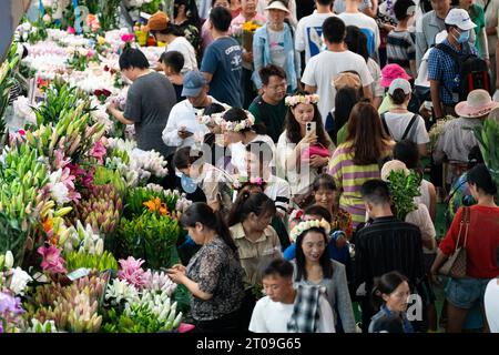 Kunming, chinesische Provinz Yunnan. Oktober 2023. Besucher besuchen den Dounan Blumenmarkt während des Herbstfestes und des Nationalfeiertags in Kunming, südwestchinesischer Provinz Yunnan, 5. Oktober 2023. Quelle: Chen Xinbo/Xinhua/Alamy Live News Stockfoto