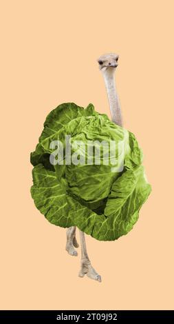 Lustiger Strauß mit Kohlkörper, der über beigefarbenen Hintergrund läuft. Natur, Bio-Produkte, Tiere. Zeitgenössische Kunstcollage. Stockfoto