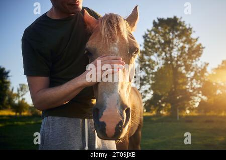 Der Mann streichelt den Kopf des Therapiepferdes bei wunderschönem Sommeruntergang. Themen Hippotherapie, Pflege und Freundschaft zwischen Mensch und Tier. Stockfoto