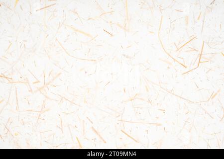 Maulbeerpapier mit getrockneten Grass Textur als Hintergrund verwendet. Stockfoto
