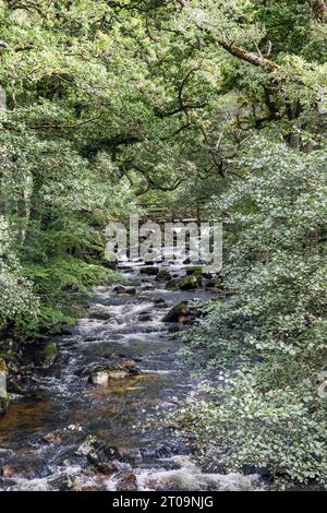 Aufrechte Abbildung des Flusses Plym an der Shaugh Bridge in Dewerstone Woods am Rande von Dartmoor, der über die hölzerne Fußgängerbrücke fließt. Unterhalb des Flusses casc Stockfoto