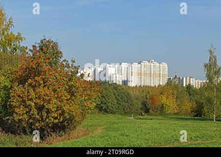 Blick auf den Naturpark Mitino am sonnigen Herbsttag. Moskau, Russland Stockfoto