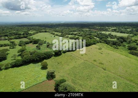 Grüne Wiesenfelder in Nicaragua Landschaft aus der Vogelperspektive Stockfoto