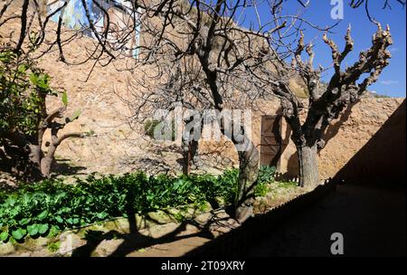 Orihuela, Alicante, Spanien, 12. August 2023: Das Miguel Hernandez House Museum in Orihuela City Stockfoto
