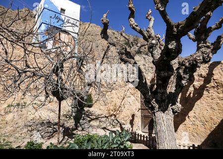 Orihuela, Alicante, Spanien, 12. August 2023: Das Miguel Hernandez House Museum in Orihuela City Stockfoto