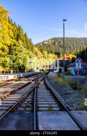 Schöne Herbstwanderung durch den Sternengrund zwischen Zella-Mehlis und Oberhof im Thüringer Wald - Thüringen - Deutschland Stockfoto