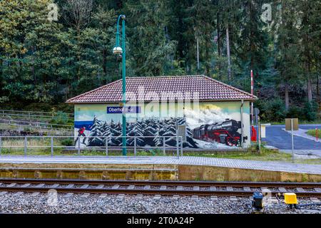 Schöne Herbstwanderung durch den Sternengrund zwischen Zella-Mehlis und Oberhof im Thüringer Wald - Thüringen - Deutschland Stockfoto