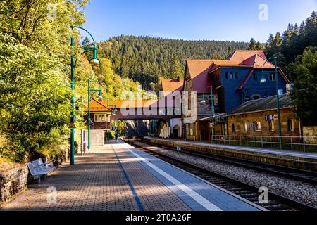 Schöne Herbstwanderung durch den Sternengrund zwischen Zella-Mehlis und Oberhof im Thüringer Wald - Thüringen - Deutschland Stockfoto