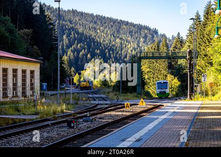 Schöne Herbstwanderung durch den Sternengrund zwischen Zella-Mehlis und Oberhof im Thüringer Wald - Thüringen - Deutschland Stockfoto