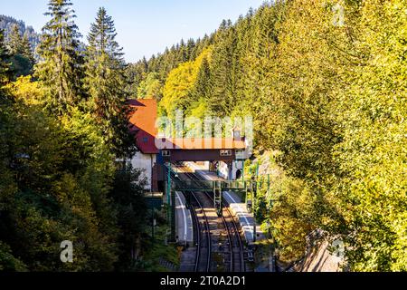 Schöne Herbstwanderung durch den Sternengrund zwischen Zella-Mehlis und Oberhof im Thüringer Wald - Thüringen - Deutschland Stockfoto