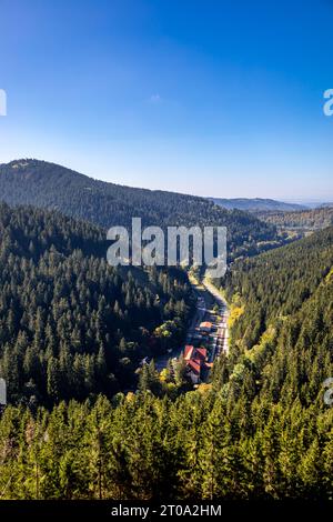 Schöne Herbstwanderung durch den Sternengrund zwischen Zella-Mehlis und Oberhof im Thüringer Wald - Thüringen - Deutschland Stockfoto