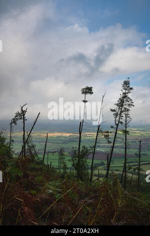 Simonside Hügel und Felsen. Blick auf die Cheviots. Northumberland. Stockfoto