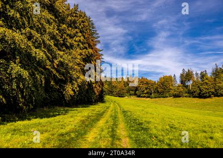 Schöne Herbstwanderung durch den Sternengrund zwischen Zella-Mehlis und Oberhof im Thüringer Wald - Thüringen - Deutschland Stockfoto