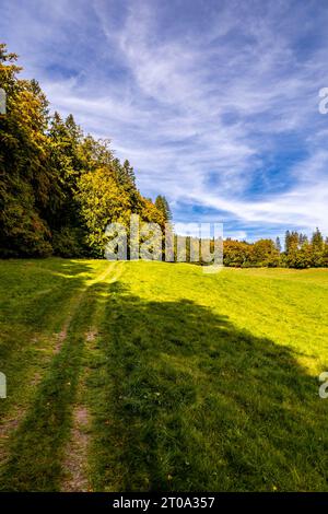 Schöne Herbstwanderung durch den Sternengrund zwischen Zella-Mehlis und Oberhof im Thüringer Wald - Thüringen - Deutschland Stockfoto