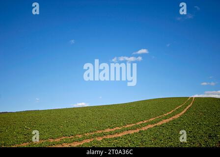 Himmel und Berg, BLF *** Sky and Mountain, BLF 08002674 x Credit: Imago/Alamy Live News Stockfoto