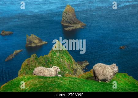 Die dramatische Küste der Hermaness auf Unst, Shetland Islands. Stockfoto