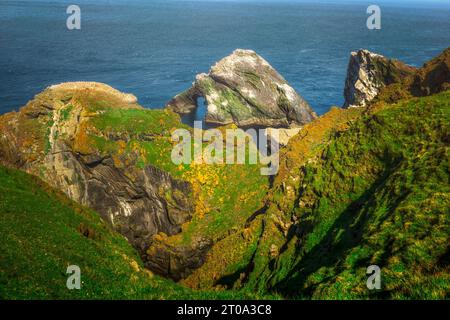 Die dramatische Küste der Hermaness auf Unst, Shetland Islands. Stockfoto