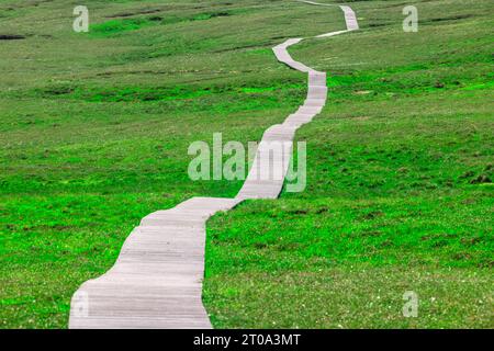 Wanderweg der Hermaness auf Unst, Shetland Islands. Stockfoto