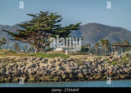 Ventura, CA, USA - 14. September 2023: Soter's Point Marina Park Baum und Bänke über Felsen bilden Pier unter blauem Himmel. Bergkette und Innenstadt Stockfoto