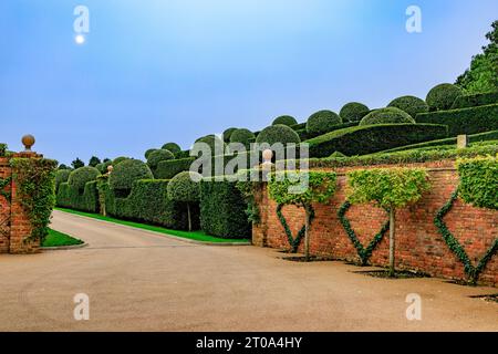 Die sorgfältig und ordentlich geformten Birnen- und Eibenhecken in den Gärten des Old Hall Hotels in der Nähe von Ely, Cambridgeshire, England, Großbritannien Stockfoto