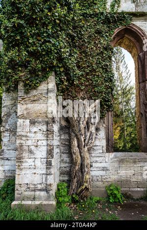 Haus der Templer im öffentlichen Park am Fluss Ilm in Weimar, Thüringen, Deutschland. Ruinen des ehemaligen Veranstaltungsortes Stockfoto