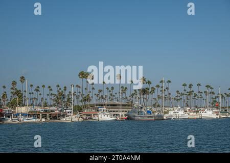 Ventura, CA, USA - 14. September 2023: TowboatUS-Unternehmen und Boote auf der Nordseite des Hafens. Gürtel mit grünen Palmen, Gebäuden und weißen Booten auf blu Stockfoto