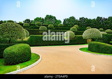 Die sorgfältig und ordentlich geformten Birnen- und Eibenhecken in den Gärten des Old Hall Hotels in der Nähe von Ely, Cambridgeshire, England, Großbritannien Stockfoto