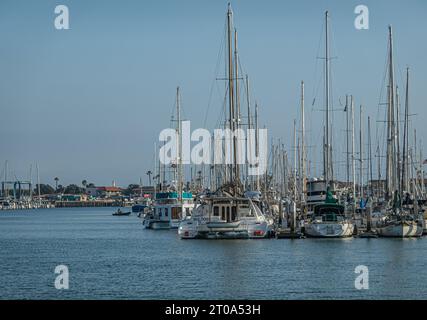 Ventura, CA, USA - 14. September 2023: Wald von Schiffsmasten am Hafen unter blauem Himmel. Motor- und Segelyachten haben alle an ihren Piers angedockt, Gebäude weiter Stockfoto