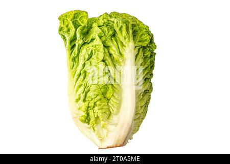 Grüner Kopfsalat auf weißem Hintergrund. Hochwertige Fotos Stockfoto