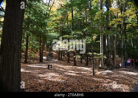 Rouge National Urban Park, Scarborough, Kanada - Herbst 2022 Stockfoto