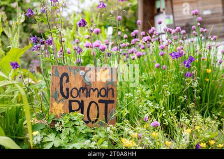 Gemeinsames Grundstücksgartenzeichen in bewachsenem Blumenfeld mit Holzstruktur. Urbaner Gemeindegarten Hintergrund. Selektive Fokussierung auf handgemachtes Schild mit defokussiertem Schild Stockfoto