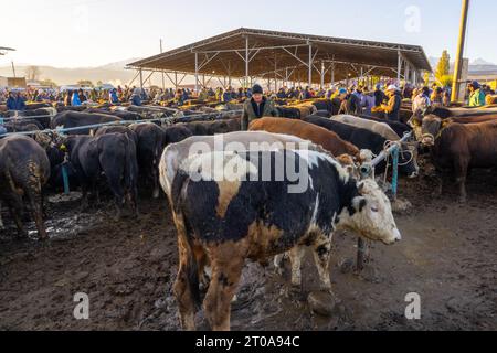 Wöchentlicher Tiermarkt in Karakol, Kirgisistan Stockfoto