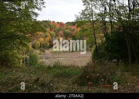 Rouge National Urban Park, Scarborough, Kanada - Herbst 2022 Stockfoto