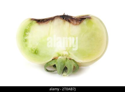 Tomatenscheibe mit Blütenendfäule-Krankheit. Isolierter Querschnitt unreifer Roadster-Tomaten mit verfaultem braunem Schnitt aus Kalziummangel. Physiol Stockfoto