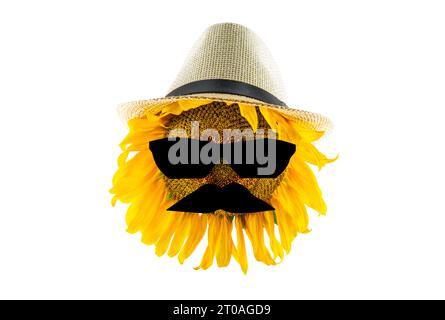 Blühende gelbe Sonnenblume mit Hut, Sonnenbrille und Schnurrbart (Nahaufnahme), isoliert auf weißem Hintergrund. Produktionskonzept für Pflanzenöl Stockfoto