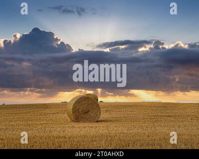 Heu in einem runden Heuhaufen auf einem Feld unter den Wolken. Ernte, Herbstfeld Stockfoto