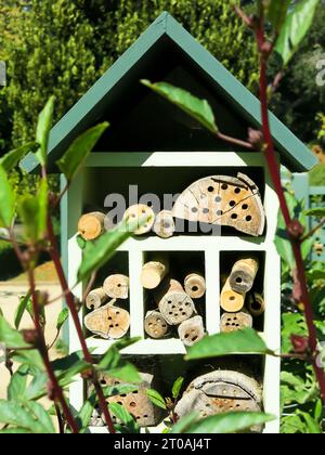 Einheimisches Bee House Stockfoto