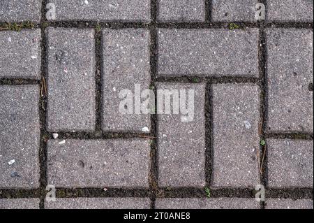 Fragment eines rechteckigen, gepflasterten Bürgersteigs aus Stein, mit Boden zwischen den Pflastersteinen, zur Verwendung als abstrakter Hintergrund und Textur. Stockfoto