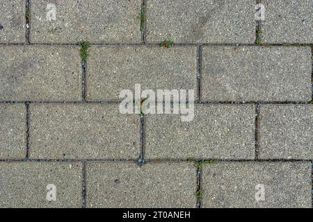 Fragment eines rechteckigen, gepflasterten Bürgersteigs aus Stein, mit Moos zwischen den Pflastersteinen, zur Verwendung als abstrakter Hintergrund und Textur. Stockfoto